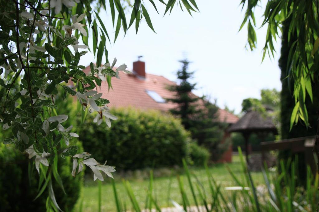 Landhotel Zur Schmiede Göhren-Lebbin エクステリア 写真