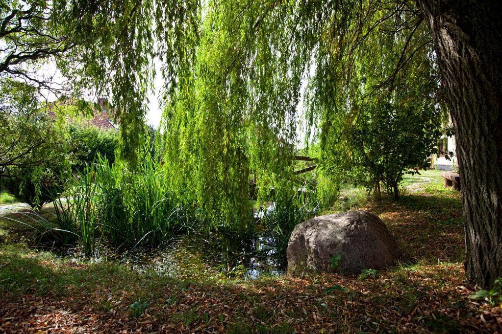 Landhotel Zur Schmiede Göhren-Lebbin エクステリア 写真
